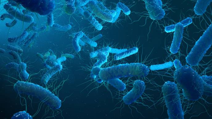 ReachMD Healthcare Image