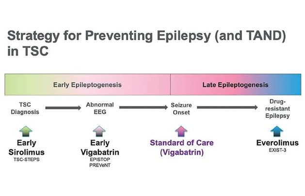 Epilepsy Essentials The Current and Future Landscape of Tuberous Sclerosis Complex Diagnosis and Treatment