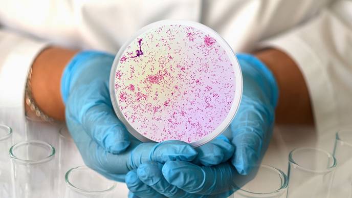 ReachMD Healthcare Image