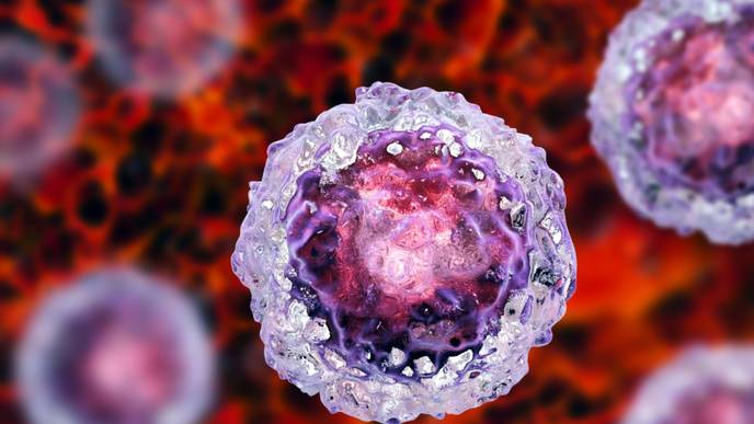 ReachMD Healthcare Image