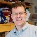 Matthias Hebrok, PhD