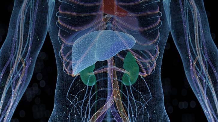 ReachMD Healthcare Image