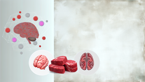 Red Meat Intake and Dementia Risk