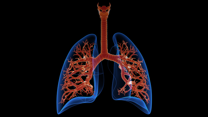 ReachMD Healthcare Image