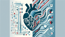 Study Finds Increased Cardiovascular Risk in Male Steroid Users