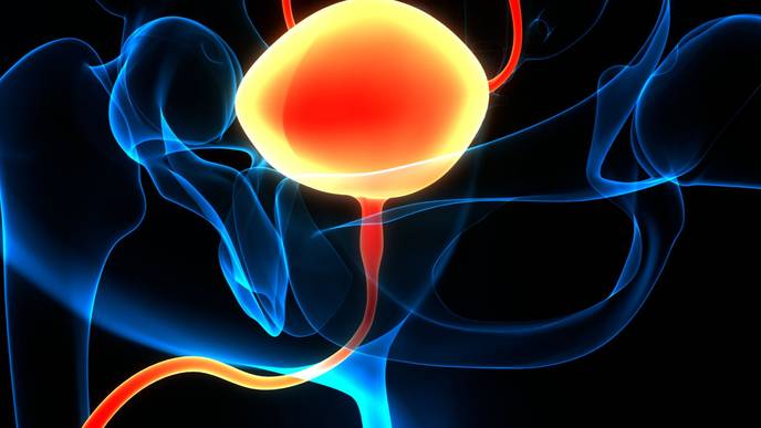 ReachMD Healthcare Image