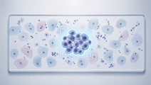 deep learning assistance vs manual reading in cervical cytopathology