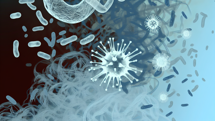 COVID19s Hidden Impact the Virus Damage to Cardiovascular Health