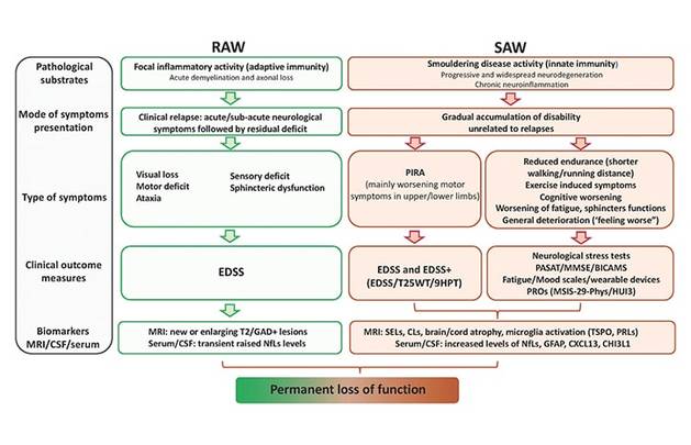 Progressive Multiple Sclerosis Functional Anatomic and Biologic Tools to Assess Disability Progression and Improve Patient