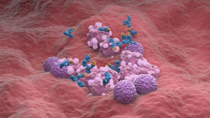 ReachMD Healthcare Image