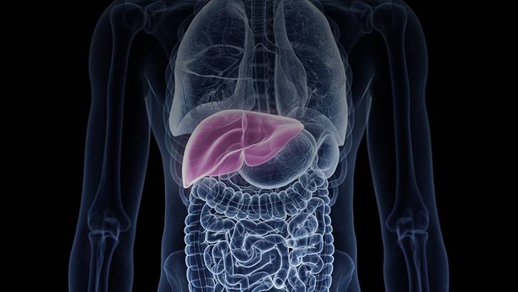 ReachMD Healthcare Image