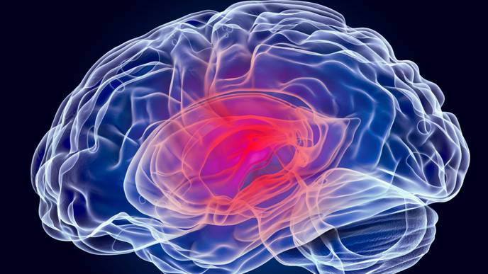 ReachMD Healthcare Image