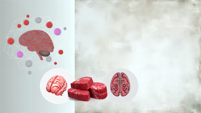 Red Meat Intake and Dementia Risk
