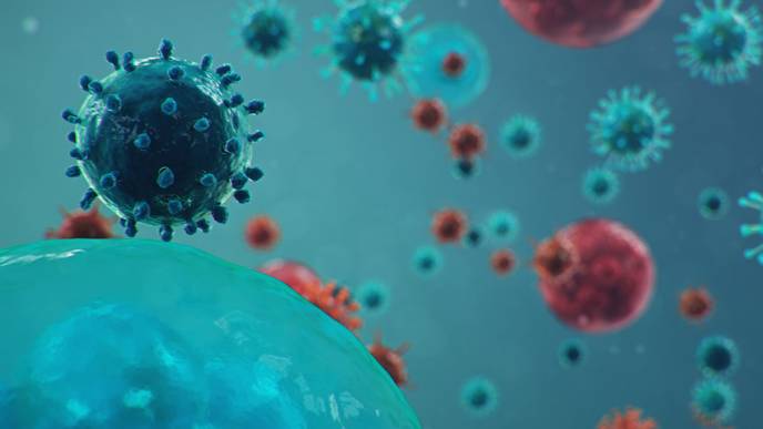 ReachMD Healthcare Image