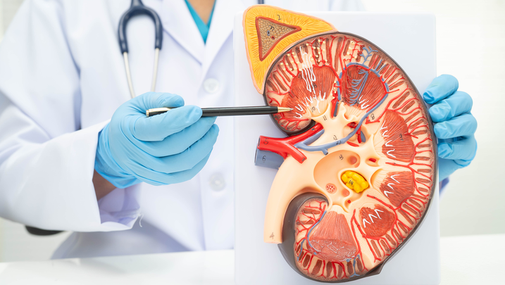 ReachMD Healthcare Image