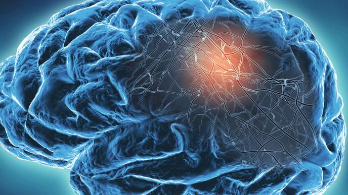 ReachMD Healthcare Image