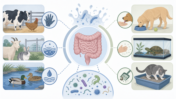 Animal Contact Enteric Outbreaks Differ by Exposure Type
