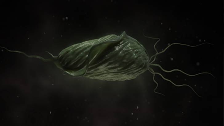 ReachMD Healthcare Image