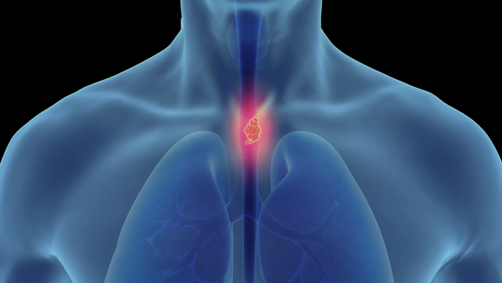 ReachMD Healthcare Image