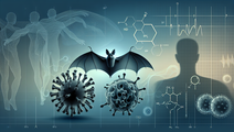 Exploring the Emerging Threat of Bat Derived Viruses