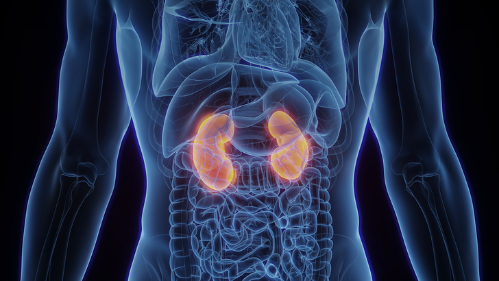 ReachMD Healthcare Image