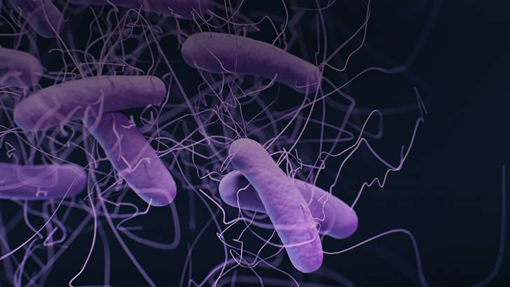ReachMD Healthcare Image
