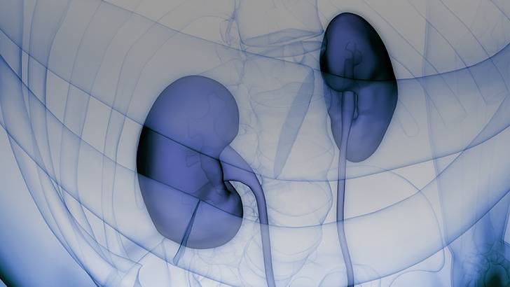 ReachMD Healthcare Image