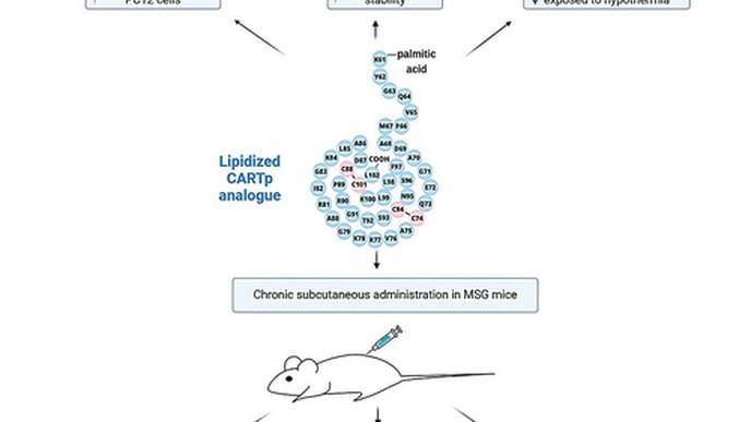 ReachMD Healthcare Image
