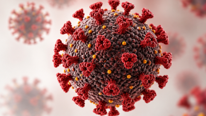 Weekly Oral HIV Maintenance Therapy Matches Daily BFTAF
