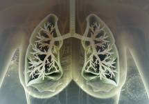 New Considerations for Step-Up Treatments in Asthma Patients