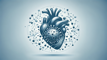 Mild COVID 19 and Its Hidden Impact on Cardiovascular Health