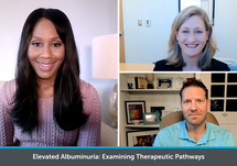 Management of Elevated Albuminuria: Examining Therapeutic Pathways