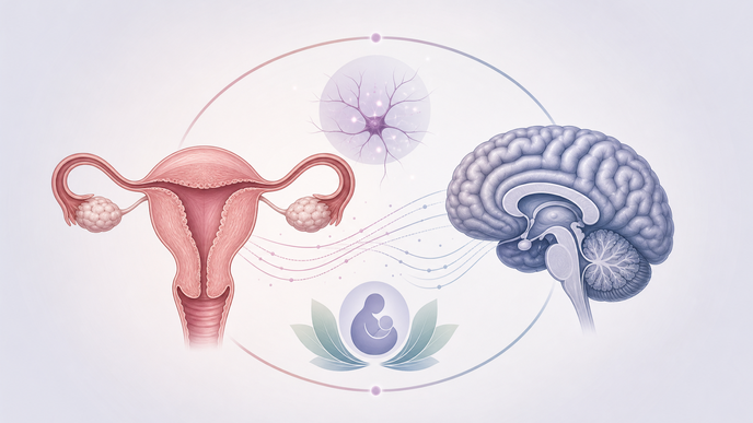 Simplified brain and postpartum uterus illustration representing postpartum suicidality and mental health risk