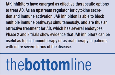 Phase 2 and 3 Trials of JAK Inhibitors For Atopic Dermatitis: A Review
