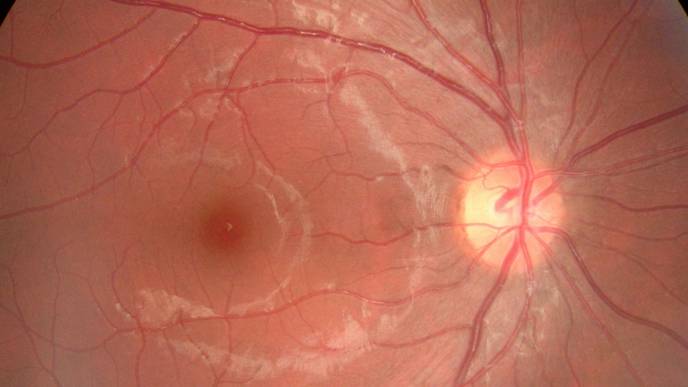 ReachMD Healthcare Image