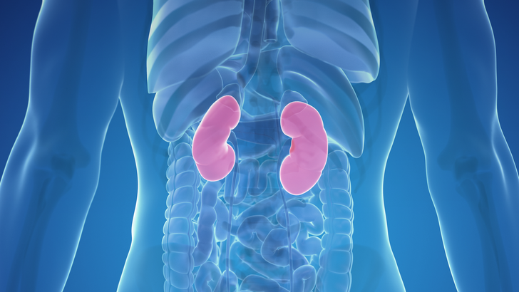 ReachMD Healthcare Image