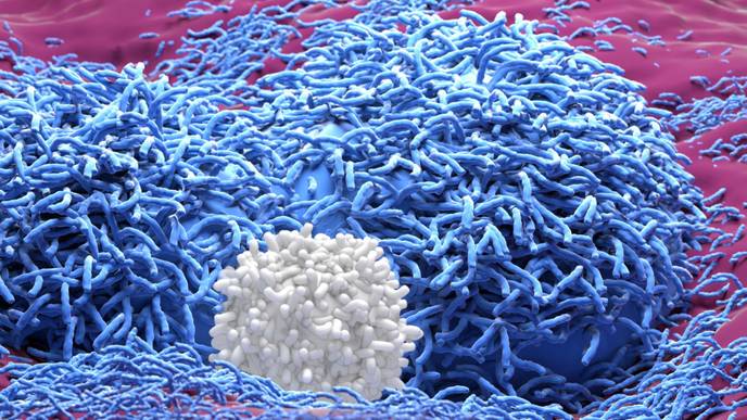 ReachMD Healthcare Image