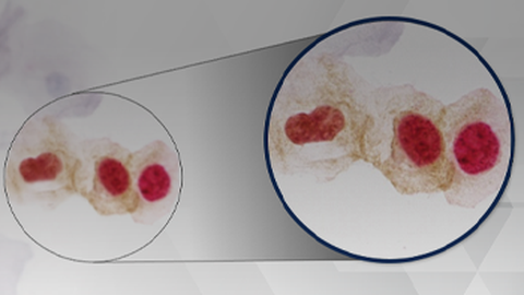 ReachMD Healthcare Image