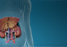 Acute Kidney Injury in Cirrhosis: Multidisciplinary Decision-Making