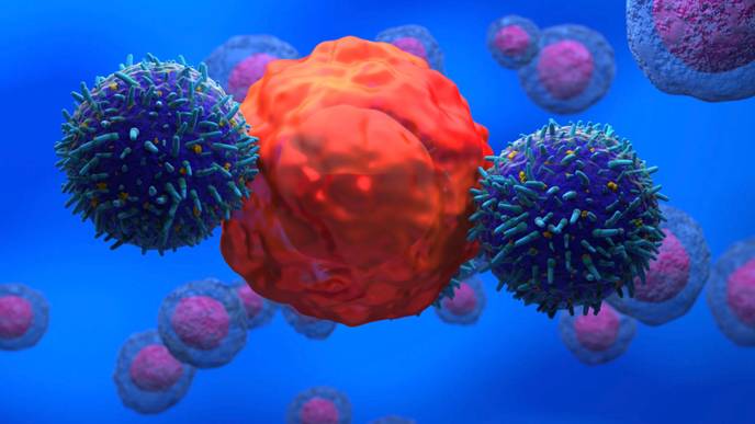 ReachMD Healthcare Image