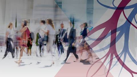 ReachMD Healthcare Image