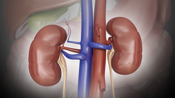 ReachMD Healthcare Image