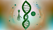 Link Between Rheumatoid Arthritis and Prostate Cancer Risk