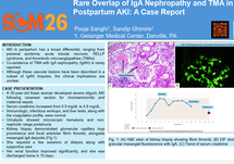 IgAN Poster 3 Image