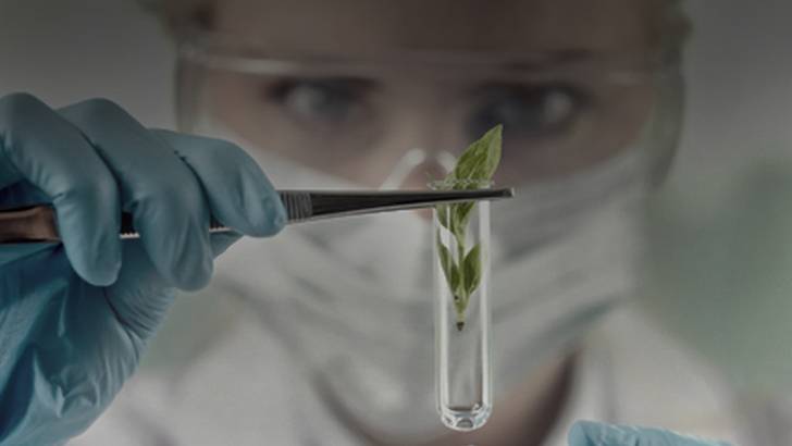 ReachMD Healthcare Image