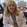 Robbyn E. Sockolow, MD