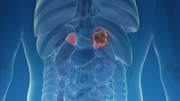 ReachMD Healthcare Image