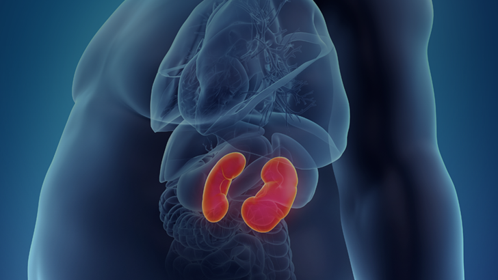 ReachMD Healthcare Image