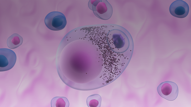 ReachMD Healthcare Image