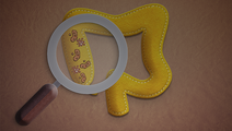 ReachMD Healthcare Image
